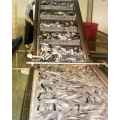 Línea de procesamiento de sardinas enlatadas automáticas de precio barato